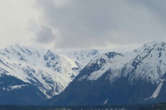 Aventure extrême : partez en croisière polaire pour explorer les confins du monde