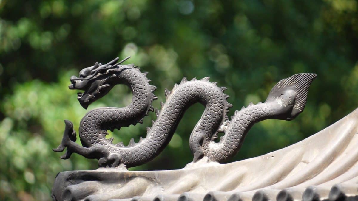 Comment connaître son signe astrologique chinois ?